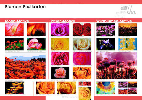 Blumen Postkarten